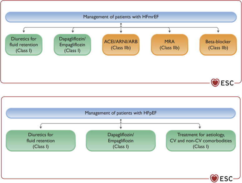 HFpEF, HFmrEF 치료제