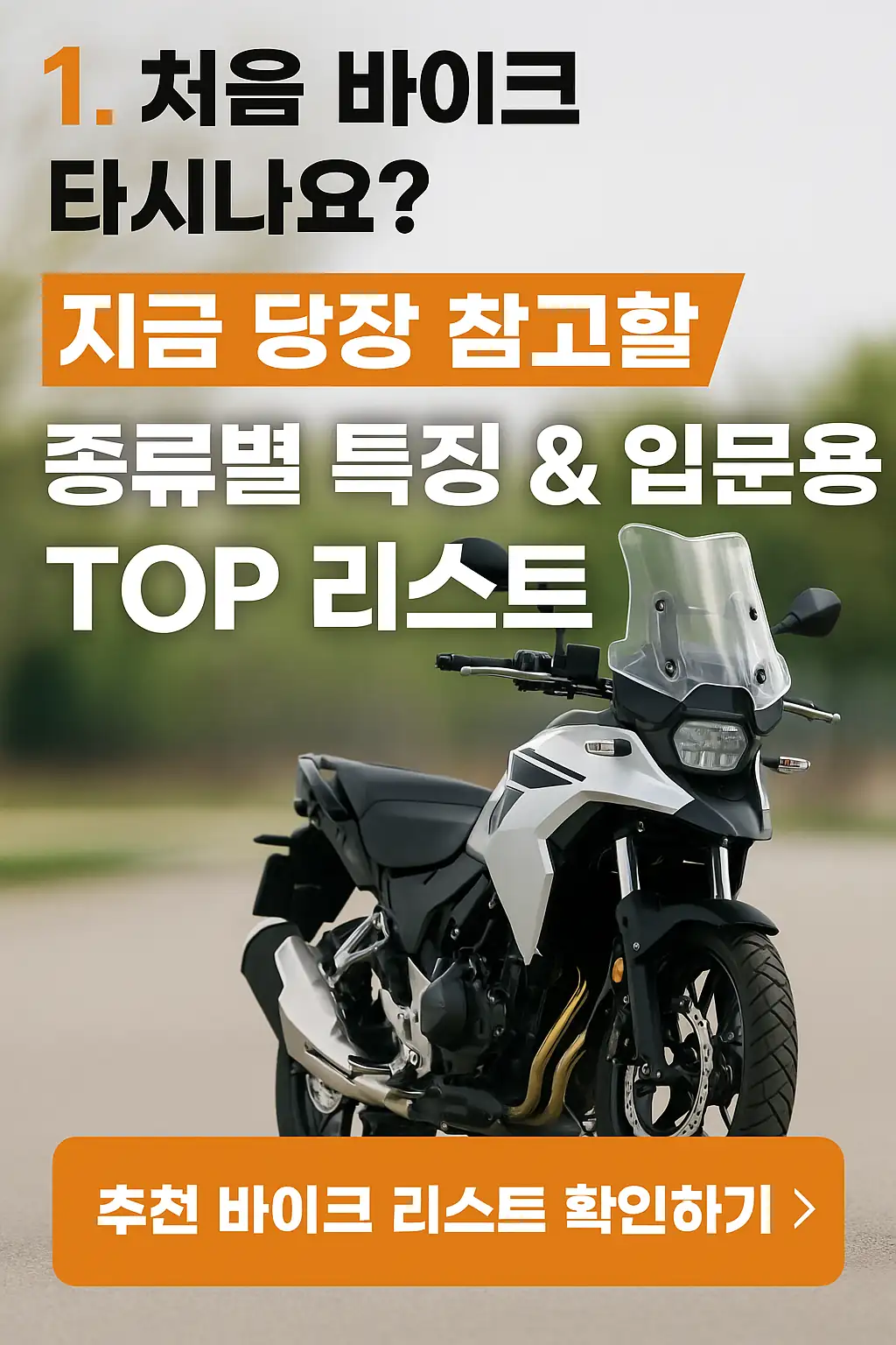 처음 바이크 타시나요? 지금 당장 참고할 종류별 특징 &amp; 입문용 TOP 리스트