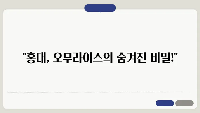 생활의 달인 마포구 홍대 오무라이스의 달인 가게 정보, 일식 오믈렛 달인