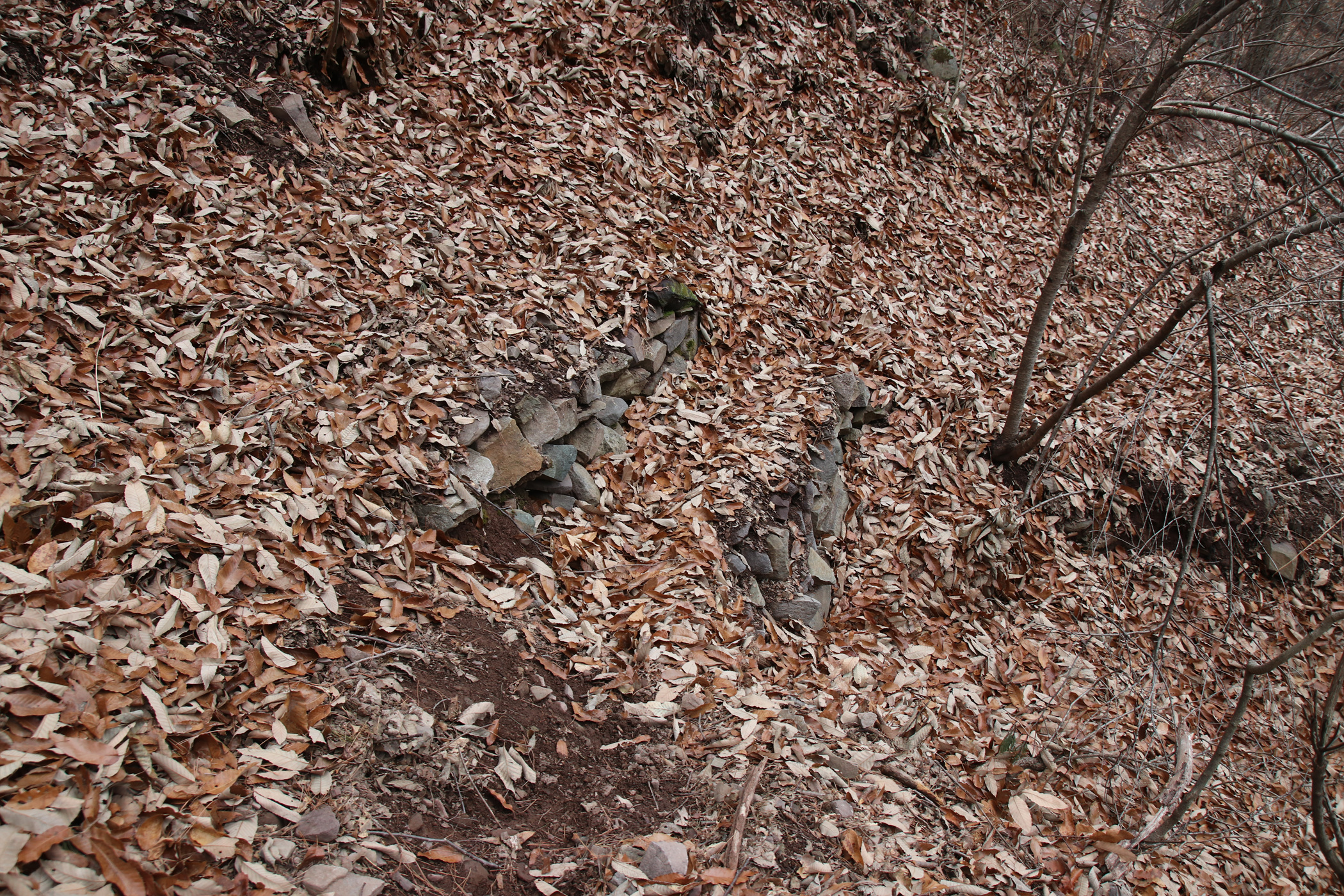 경남 의령군 국사봉 05 53