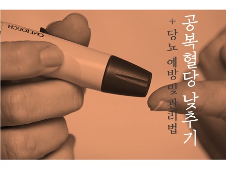  당뇨 관리 및 예방을 위한 공복혈당 낮추기!