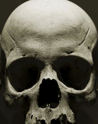 포토샵 해골 효과 만드는 방법3