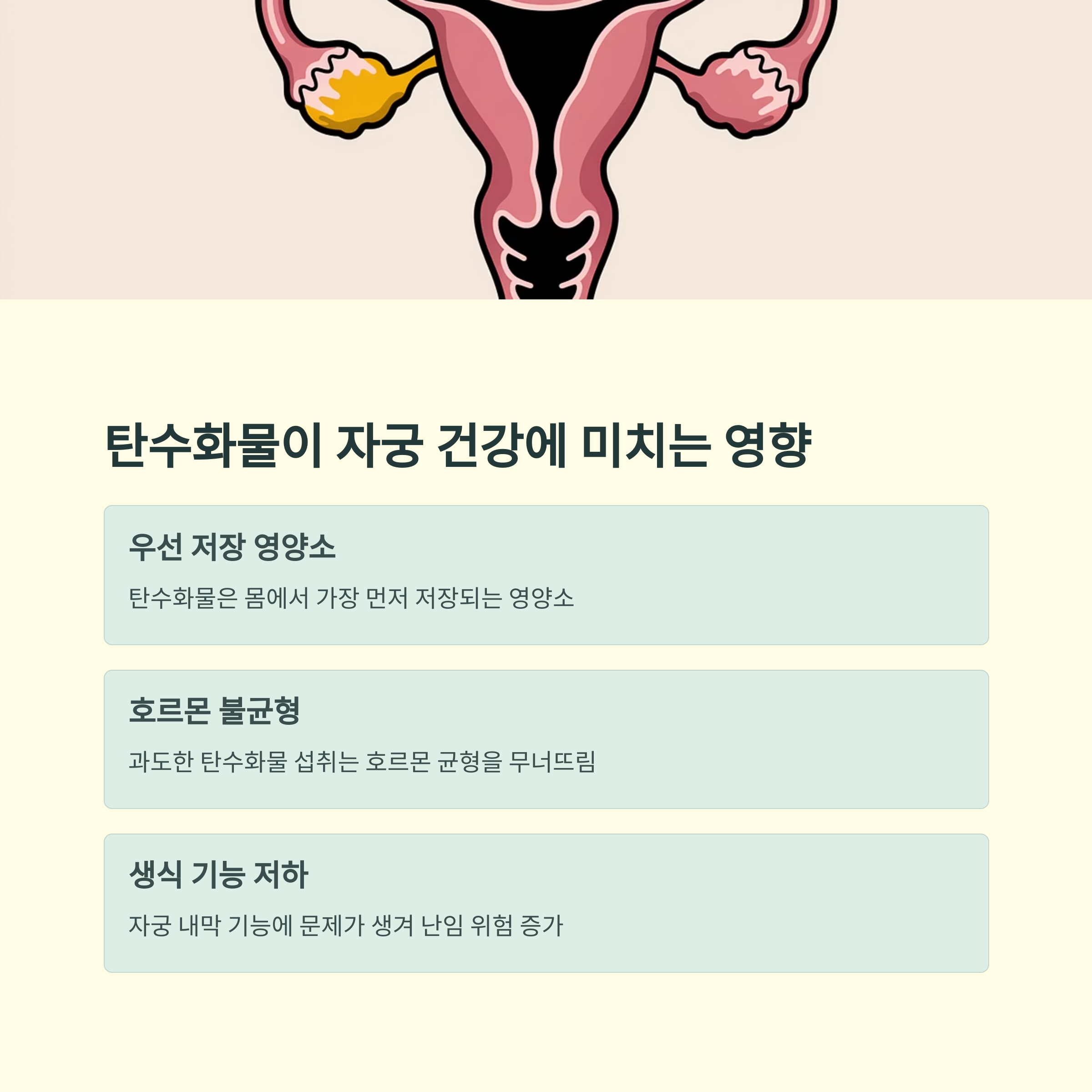 임신 준비 식습관 – 탄수화물과 자궁 건강의 관계
