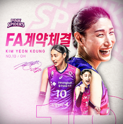 김연경 페이컷 논란