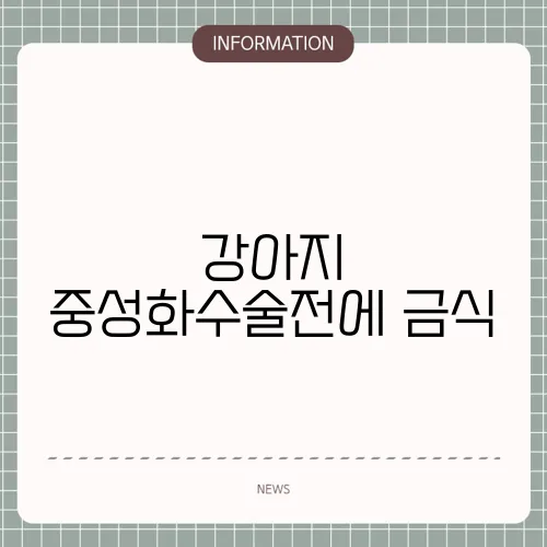 강아지 중성화수술전에 금식