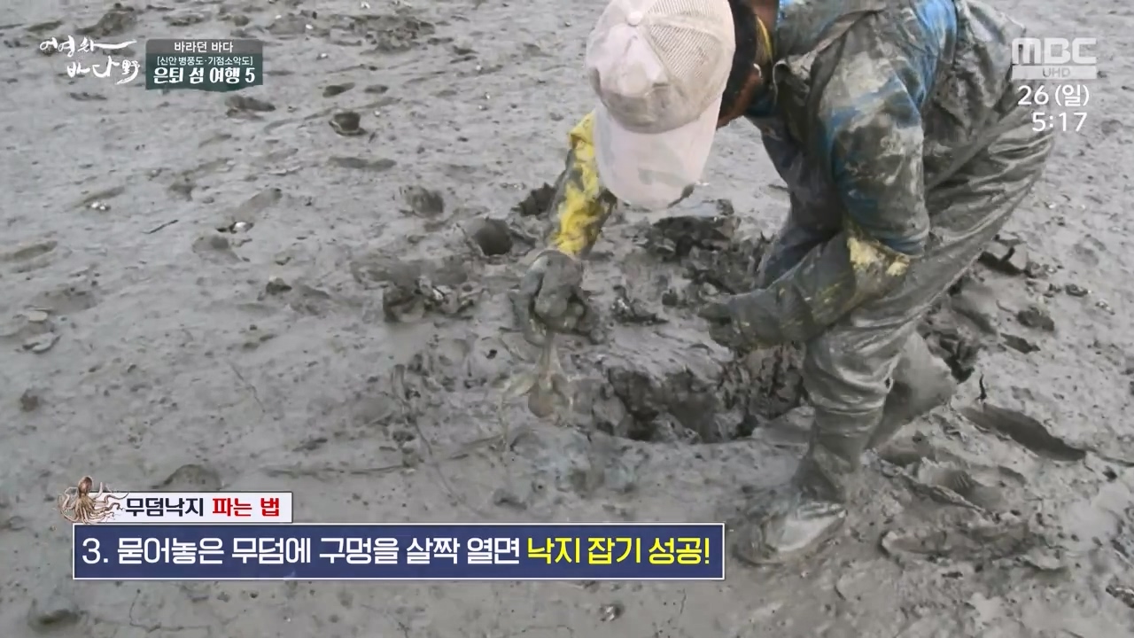 MBC 네트워크 특선 푸른백세 어영차 바다야.E1650.231127p-NEXT.mp4_20231202_165808.802.jpg