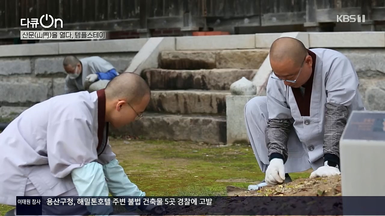 다큐 On.E170.221112p.H264-F1RST.mp4_20221120_145131.742.jpg