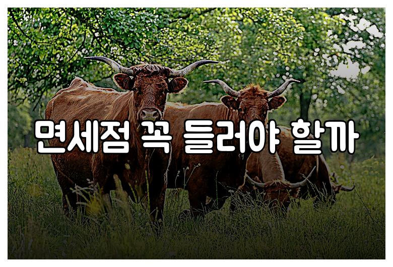 면세점 꼭 들러야 할까