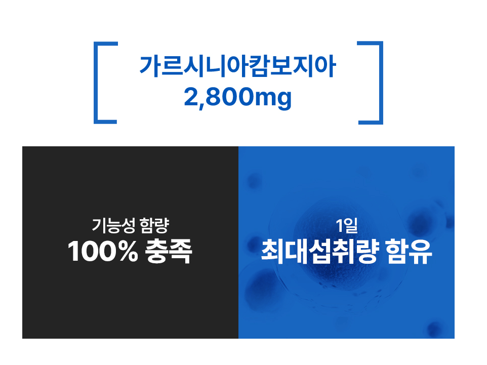 2023 마놀로지 컷 파란통 다이어트 후기!  요약