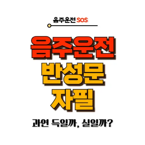 음주운전 반성문 자필