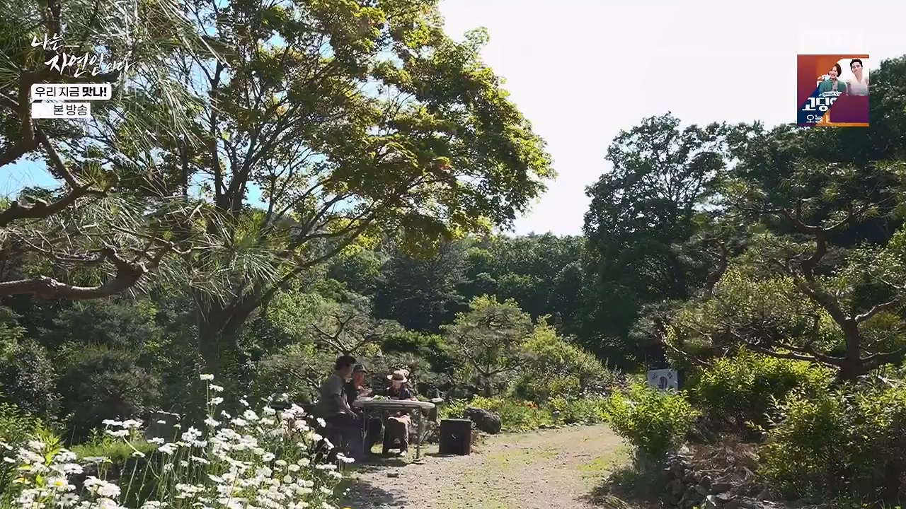 나는 자연인이다.E609.240613p-NEXT.mp4_20240613_195116.915.jpg