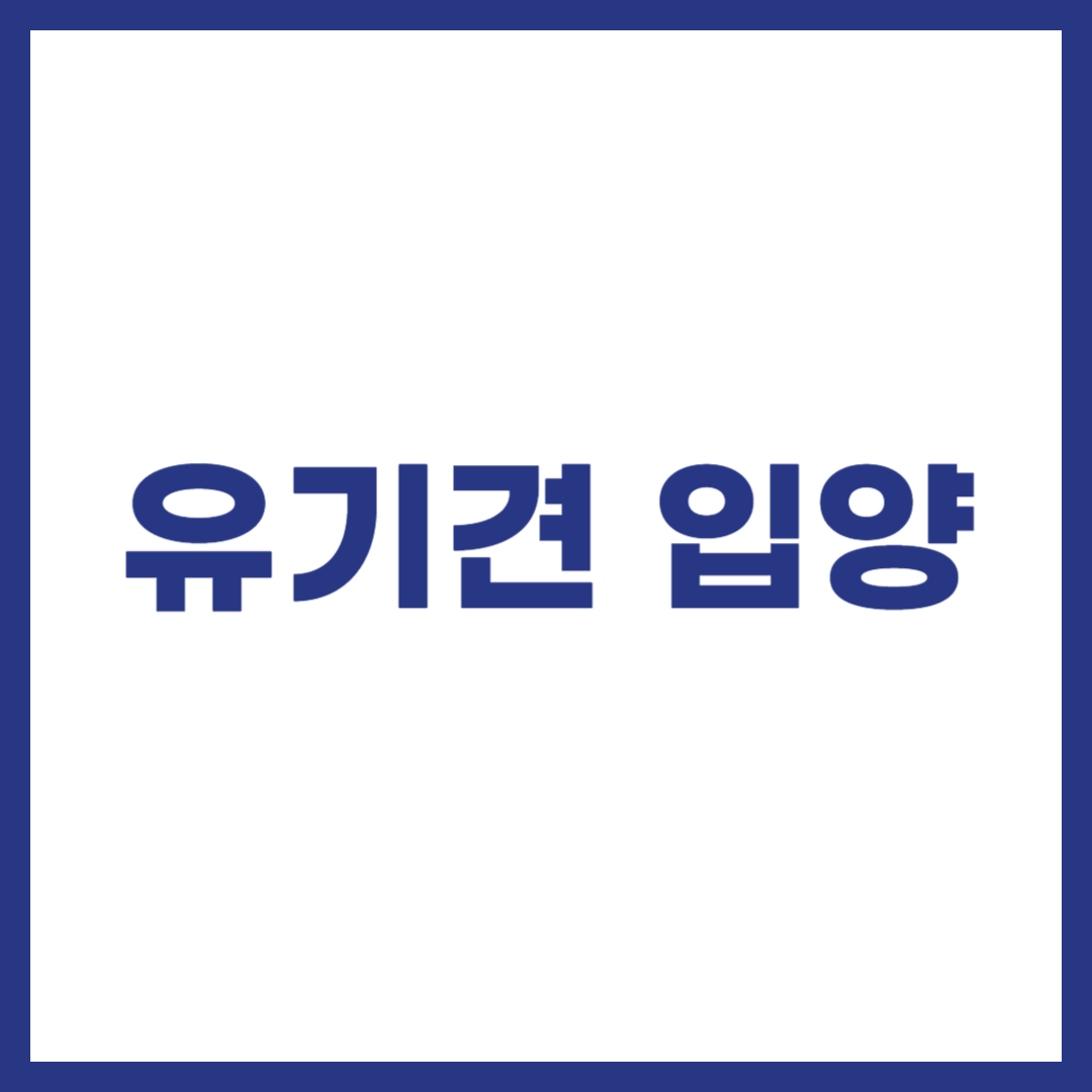 유기견 입양