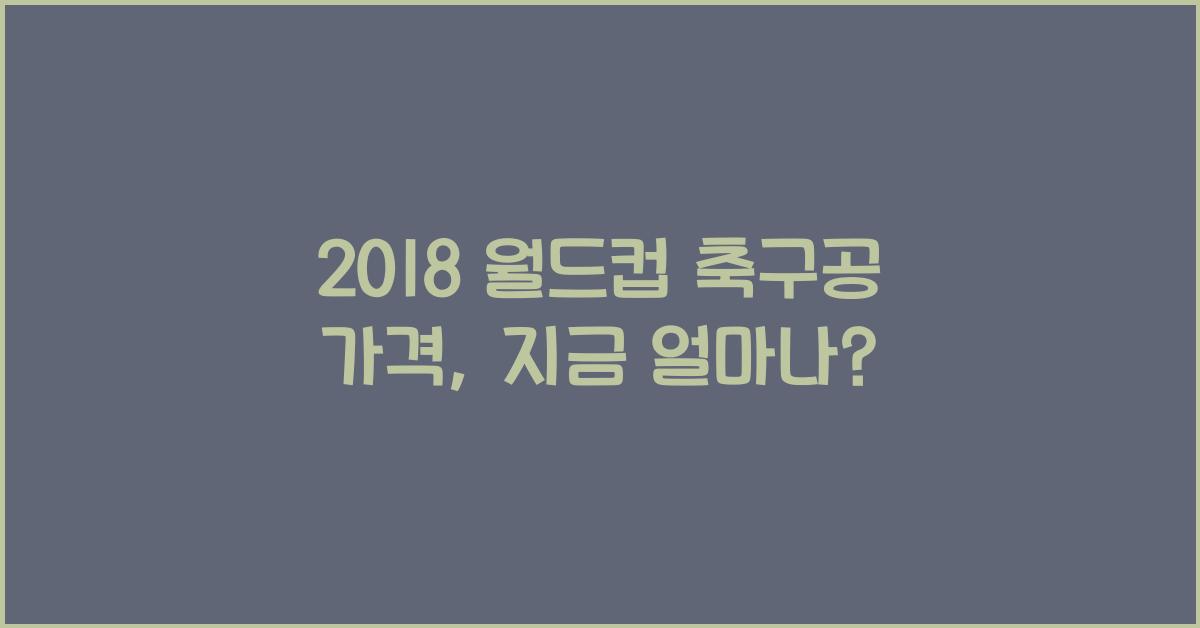 2018 월드컵 축구공 가격