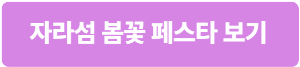 2024년 5월 경기도 축제 자라섬 봄꽃 페스타