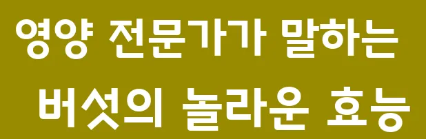 영양 전문가가 말하는 버섯의 놀라운 효능