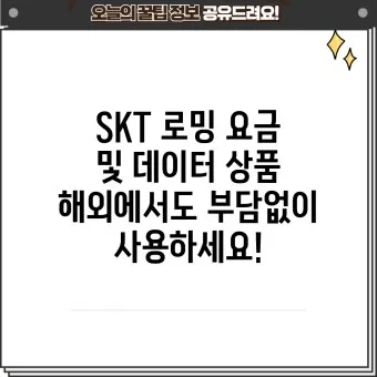 SKT 데이터 로밍 무조건 차단 신청방법_8