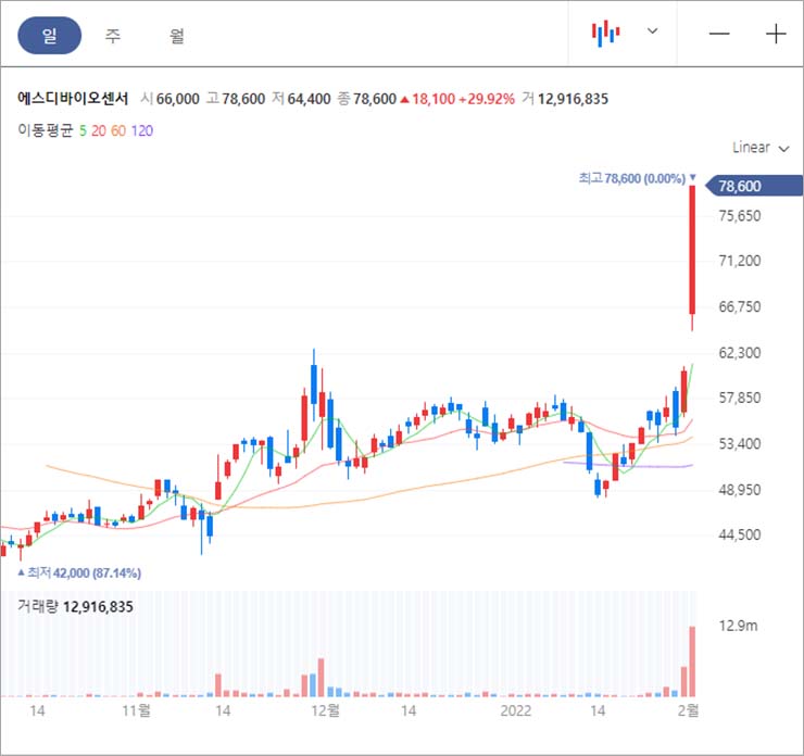  코로나19 진단키트 관련주 에스디바이오센서 (137310) 상한가