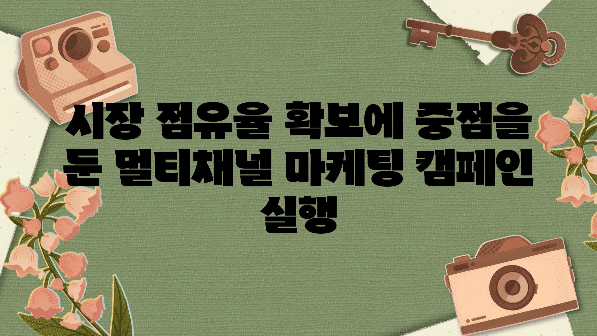 시장 점유율 확보에 중점을 둔 멀티채널 마케팅 캠페인 실행