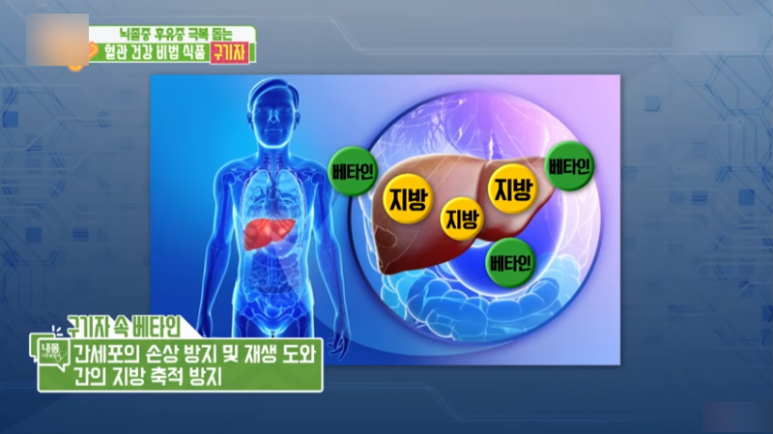 구기자가루 구기자 효능과 부작용, 2