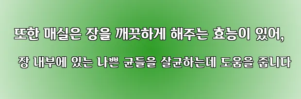  또한 매실은 장을 깨끗하게 해주는 효능이 있어, 장 내부에 있는 나쁜 균들을 살균하는데 도움을 줍니다