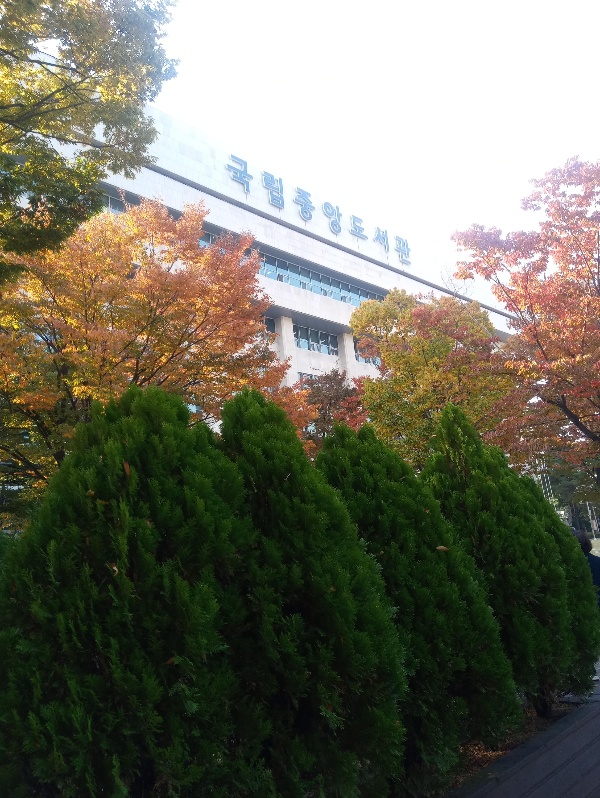 가을이-깊어-가는-국립-도서관