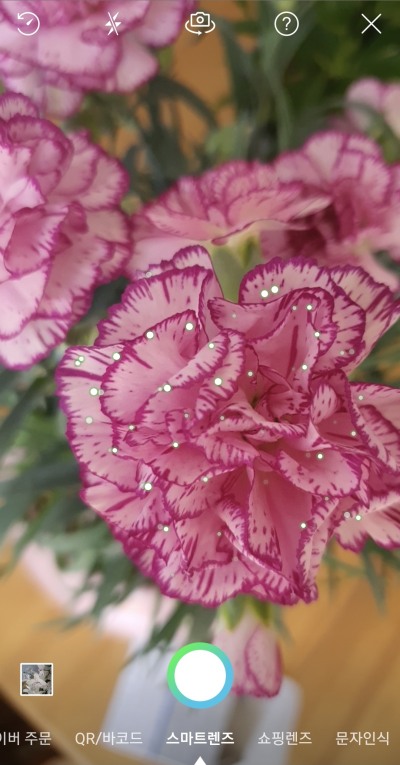 네이버 스마트렌즈 꽃 검색 촬영 화면