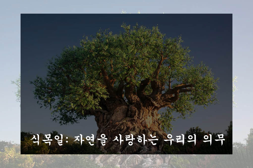  식목일: 자연을 사랑하는 우리의 의무
