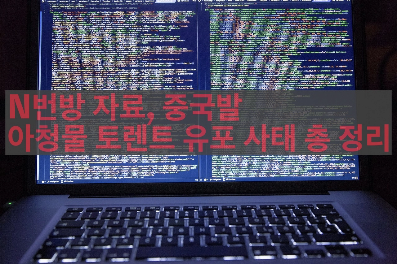  중국발 아청물 토렌트 유포 사태 총 정리
