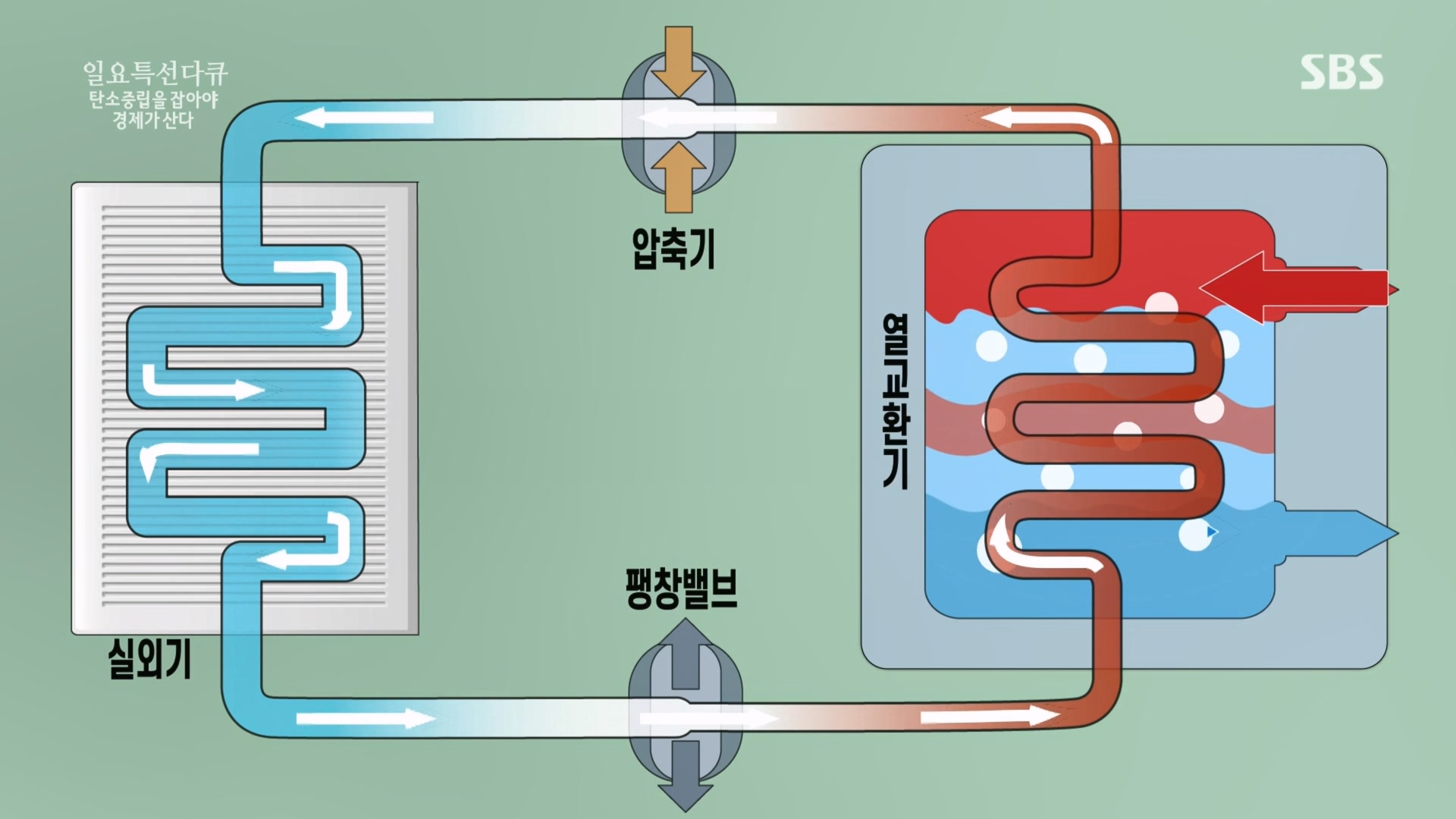 일요 특선 다큐멘터리.E320.230917p.H264-F1RST.mp4_20230925_202005.237.jpg