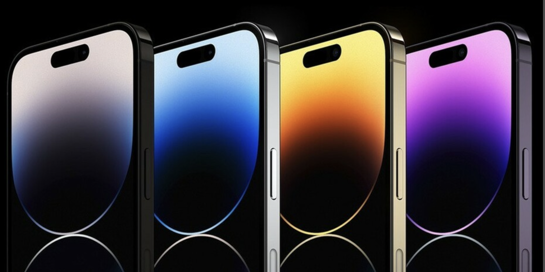 iPhone 14 Pro 시리즈의 색상.왼쪽부터 스페이스 블랙&#44; 실버&#44; 골드&#44; 새로운 색상의 딥 퍼플.