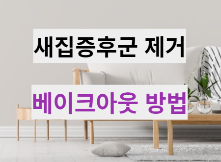  Bake out (베이크아웃) 새집증후군 제거 및 해소 방법