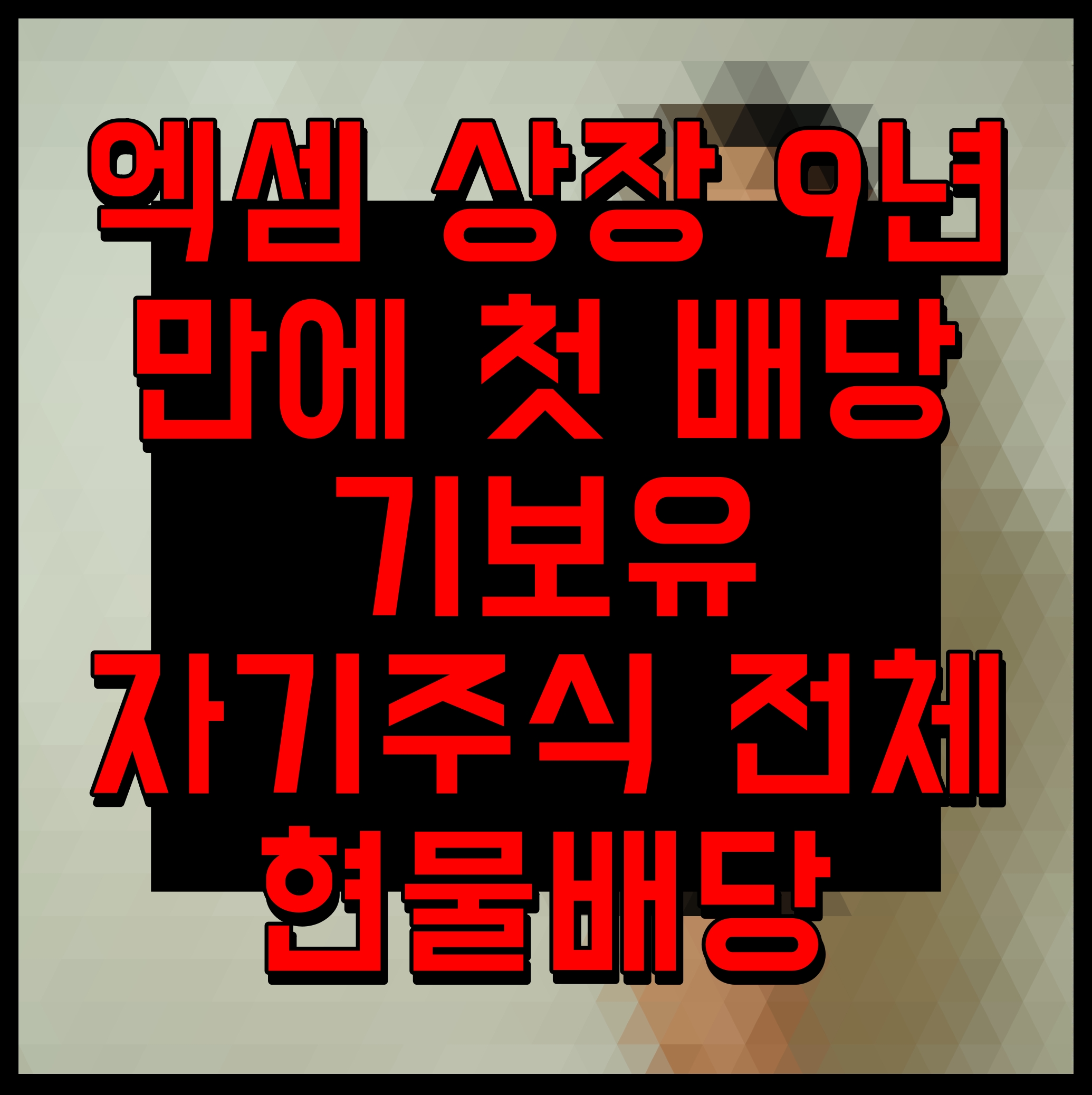  엑셈 상장 9년 만에 첫 배당 기보유 자기주식 전체 현물배당