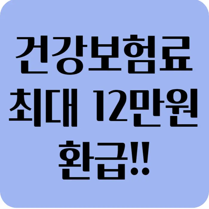 건강보험 건강바우처 최대 12만원 환급 섬네일