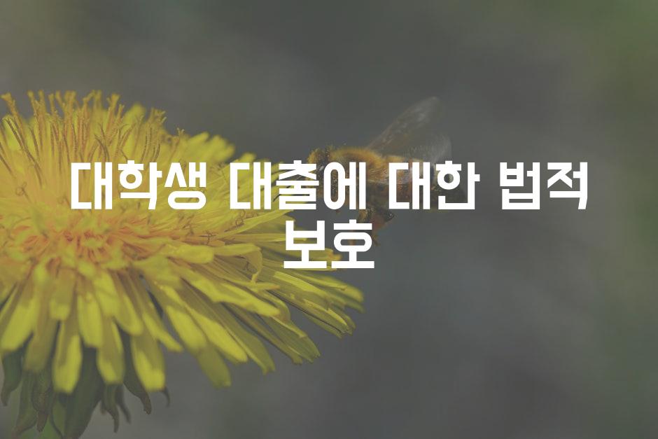 API 할당량 초과 오류 3