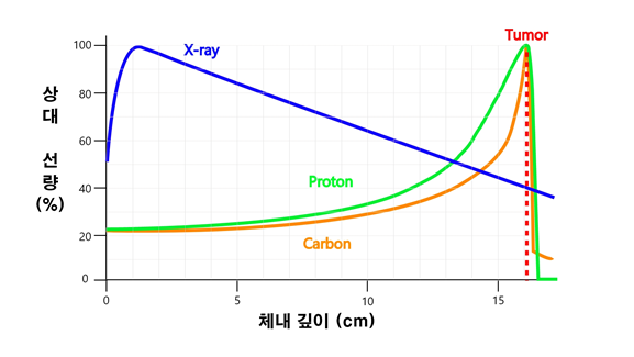 X-선과 양성자빔&#44; 탄소빔&nbsp; 브래그 피크