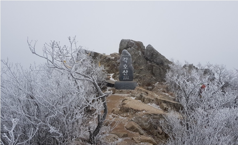  (고)전 朴正熙 대통령사주