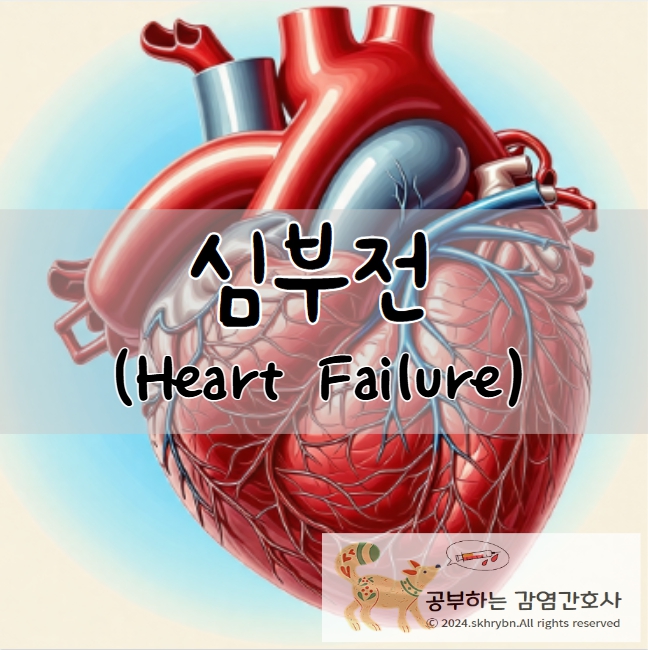 성인 간호_심부전증(Heart Failure)원인, 증상, 치료법, 간호 진단