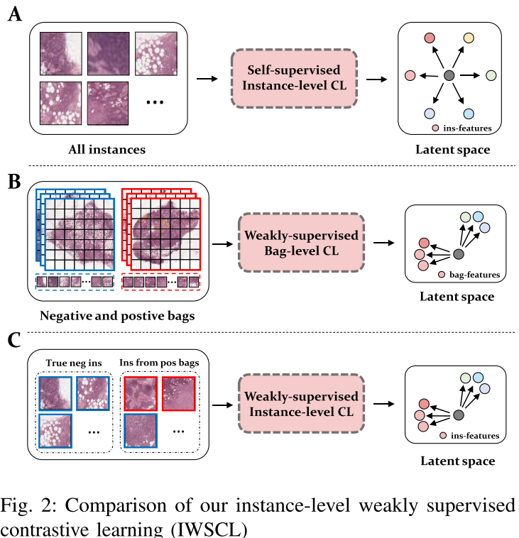 Rethinking Multiple Instance Learning for WholeSlide Image ...