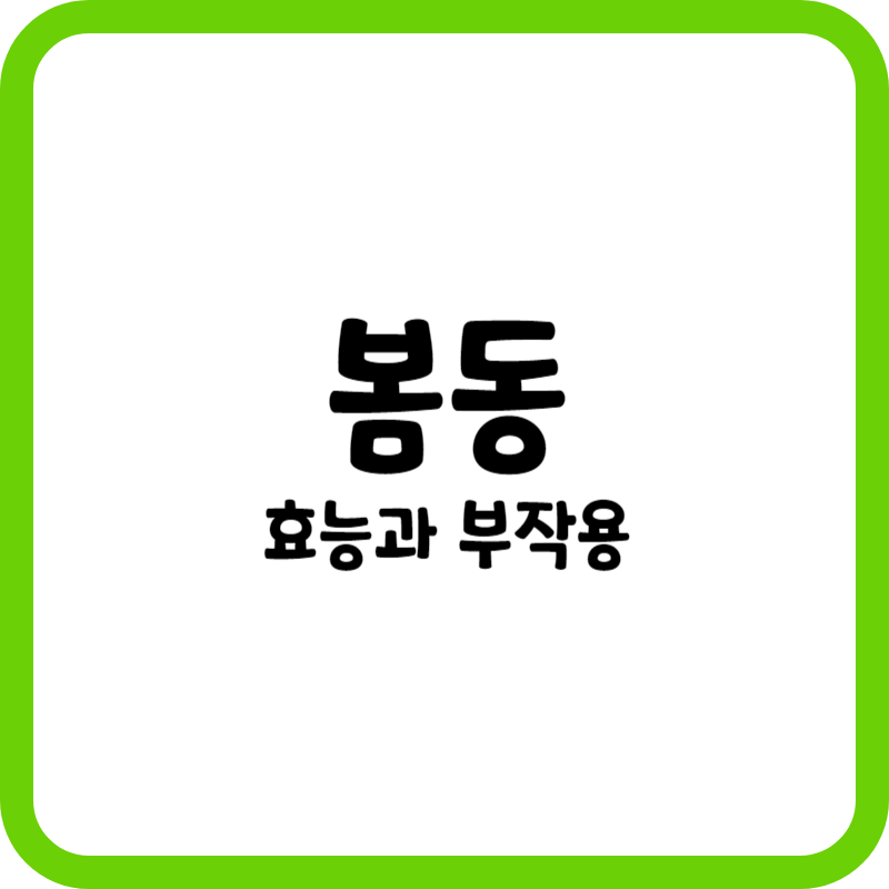 봄동의 효능과 부작용