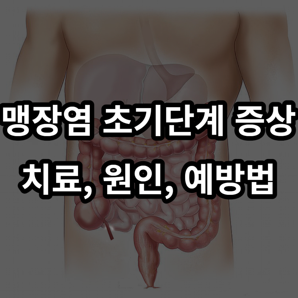  맹장염 초기 단계 증상 : 치료, 원인, 예방법
