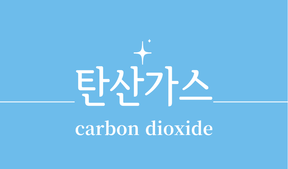 '탄산가스(carbon dioxide)'