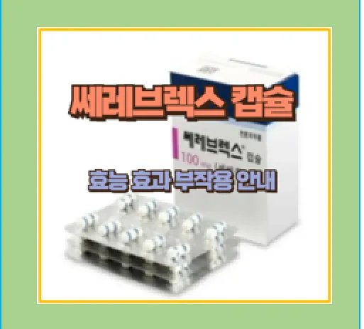 쎄레브렉스 캡슐의 효과와 복용법