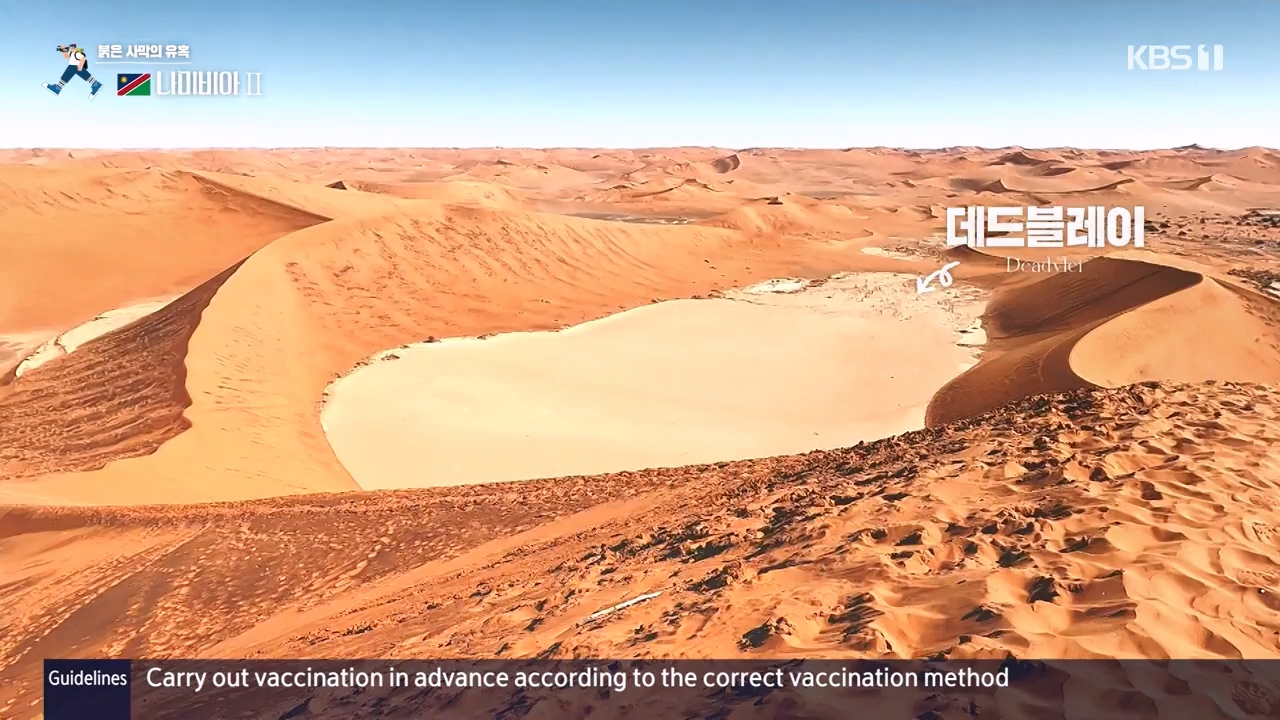 걸어서 세계속으로.E816.231105p-NEXT.mp4_20231104_175437.642.jpg