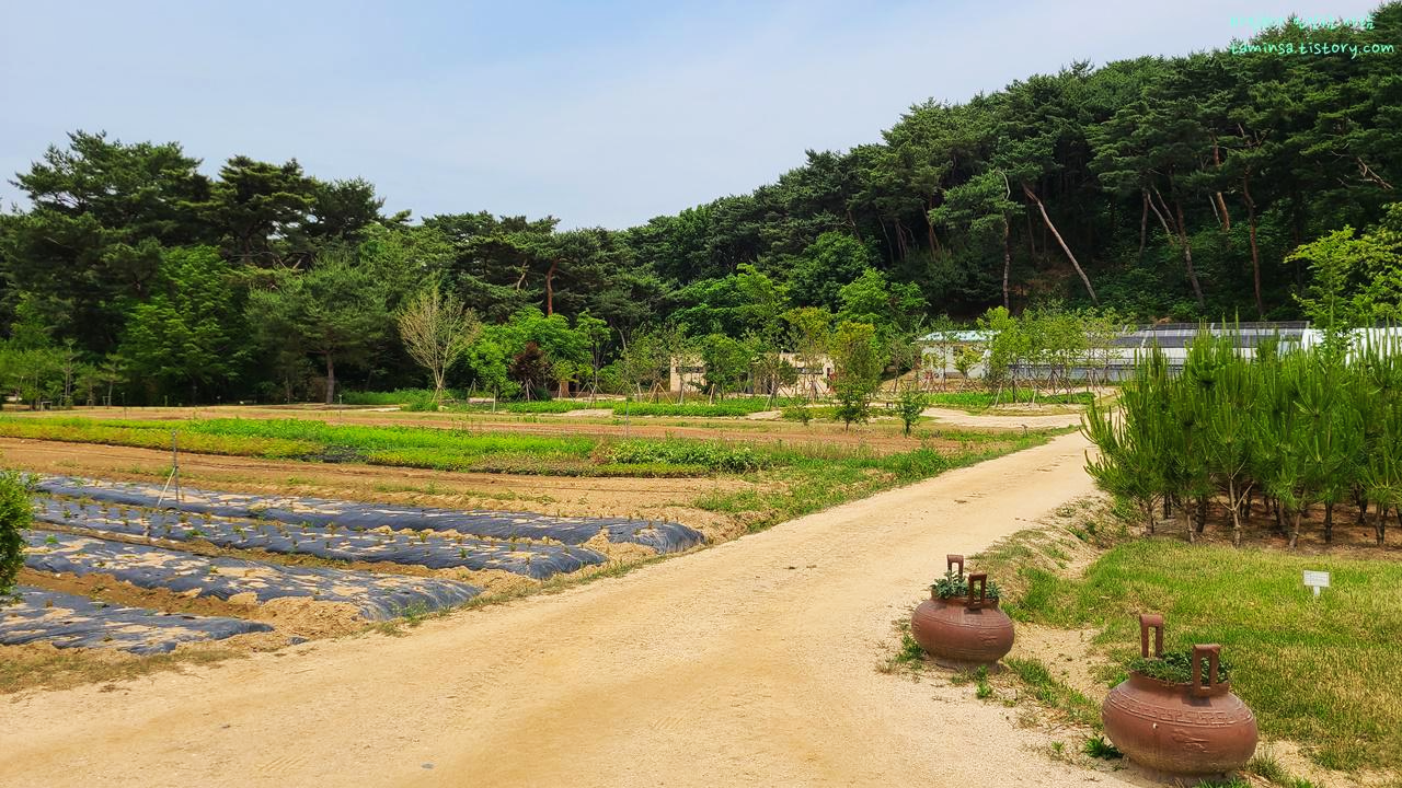 남양주-사릉-양묘장