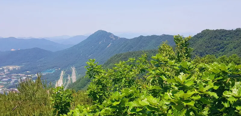 창원 비음산