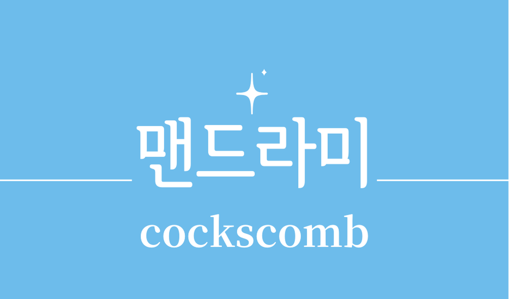 '맨드라미(cockscomb)'