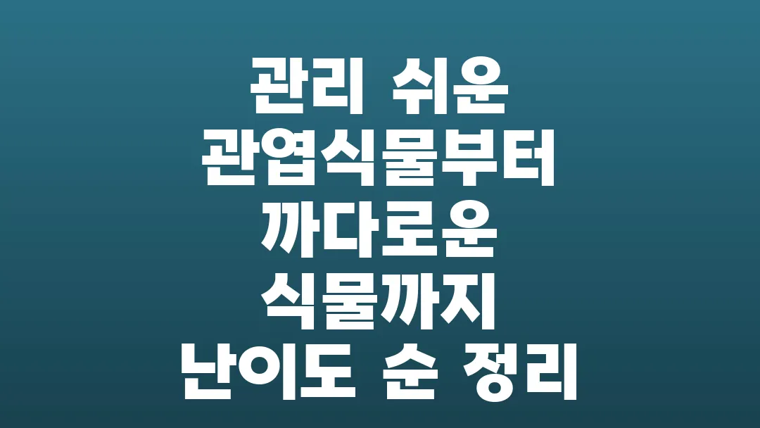 관리 쉬운 관엽식물부터 까다로운 식물까지 난이도 순 정리