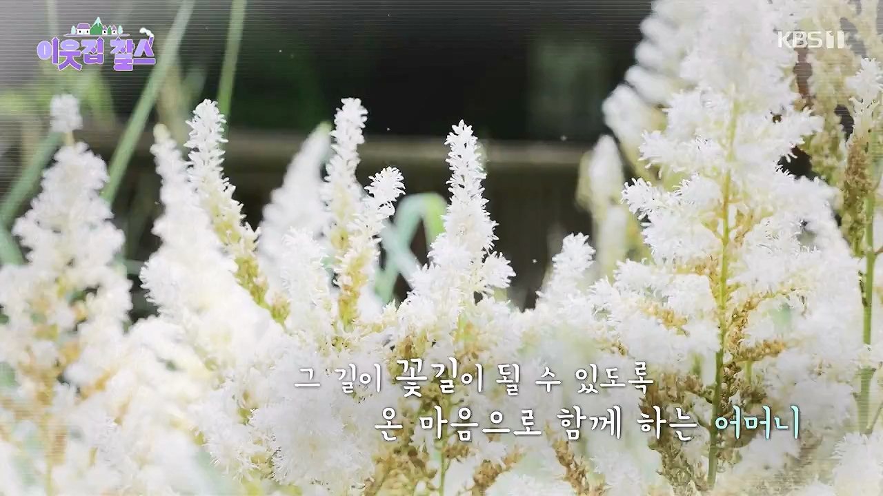 이웃집 찰스.E446.240724p-NEXT.mp4_20240724_194536.727.jpg