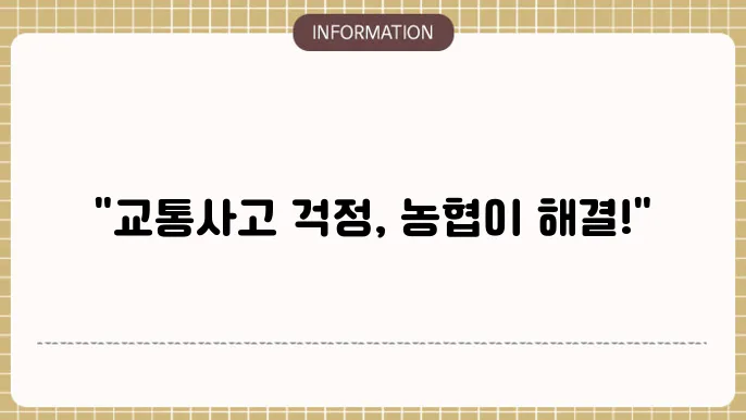 농협 운전자보험 보장내용 교통사고 시 든든한 짆원