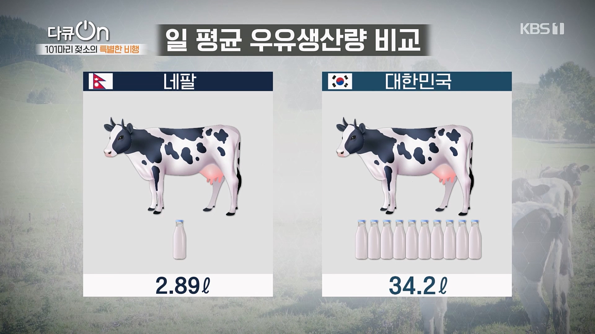 다큐 On.E184.230203p.H264-F1RST.mp4_20230211_174308.269.jpg